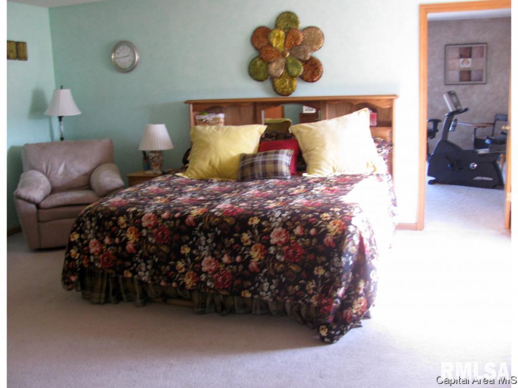 16 Spring Street Riverton, IL 62561 - Photo 11 of 28 Gallery Image 11