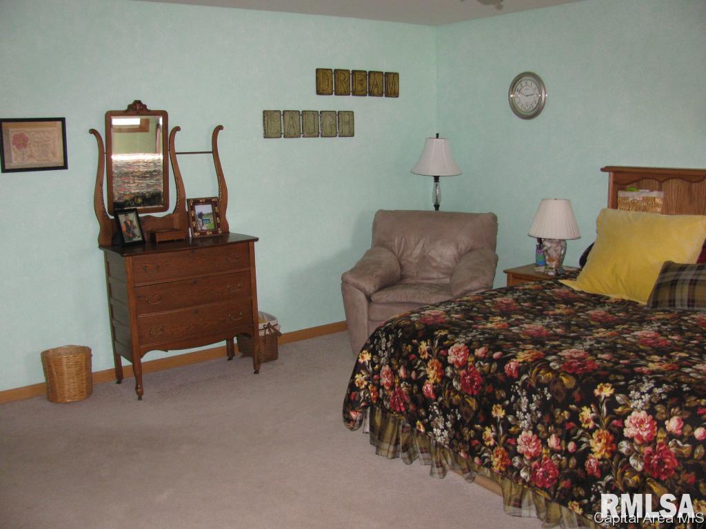 16 Spring Street Riverton, IL 62561 - Photo 12 of 28 Gallery Image 12
