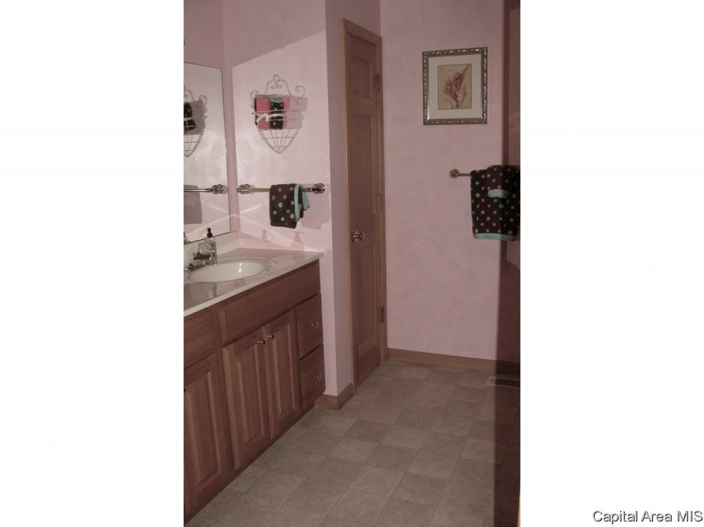 16 Spring Street Riverton, IL 62561 - Photo 14 of 28 Gallery Image 14