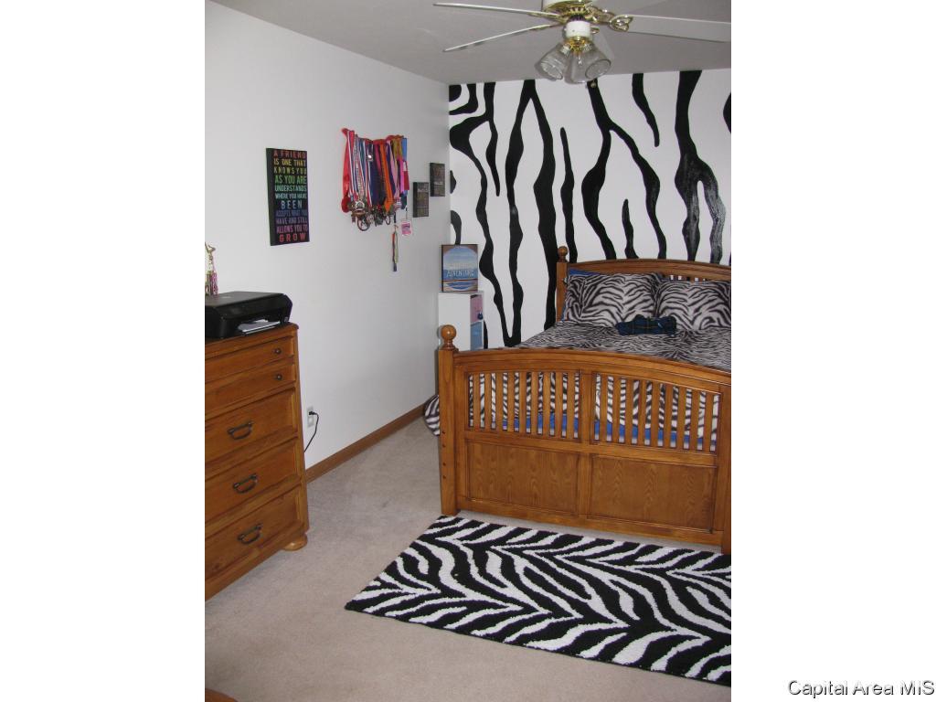 16 Spring Street Riverton, IL 62561 - Photo 15 of 28 Gallery Image 15
