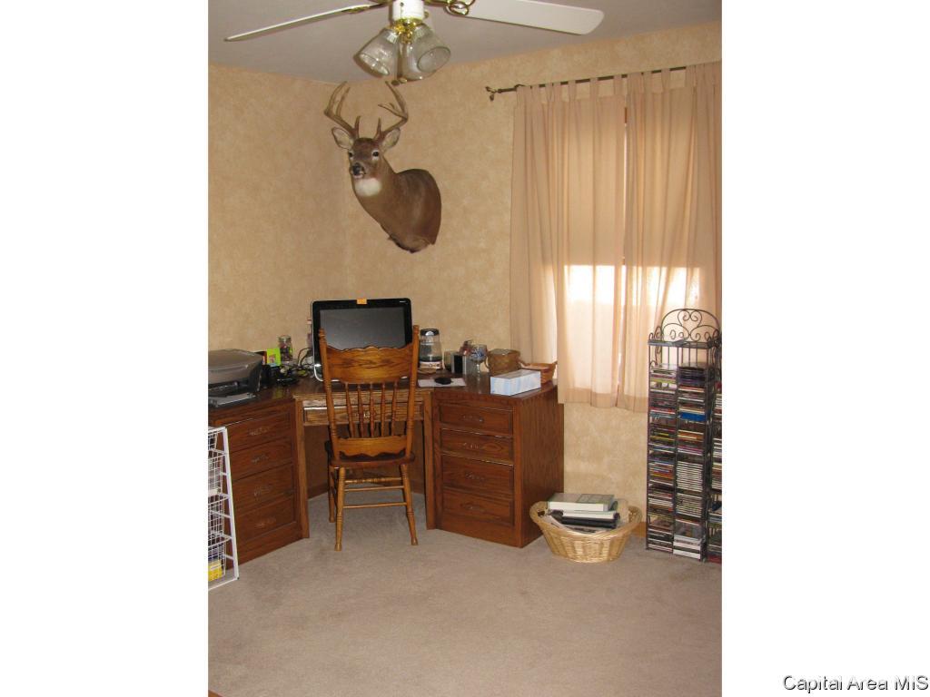 16 Spring Street Riverton, IL 62561 - Photo 16 of 28 Gallery Image 16