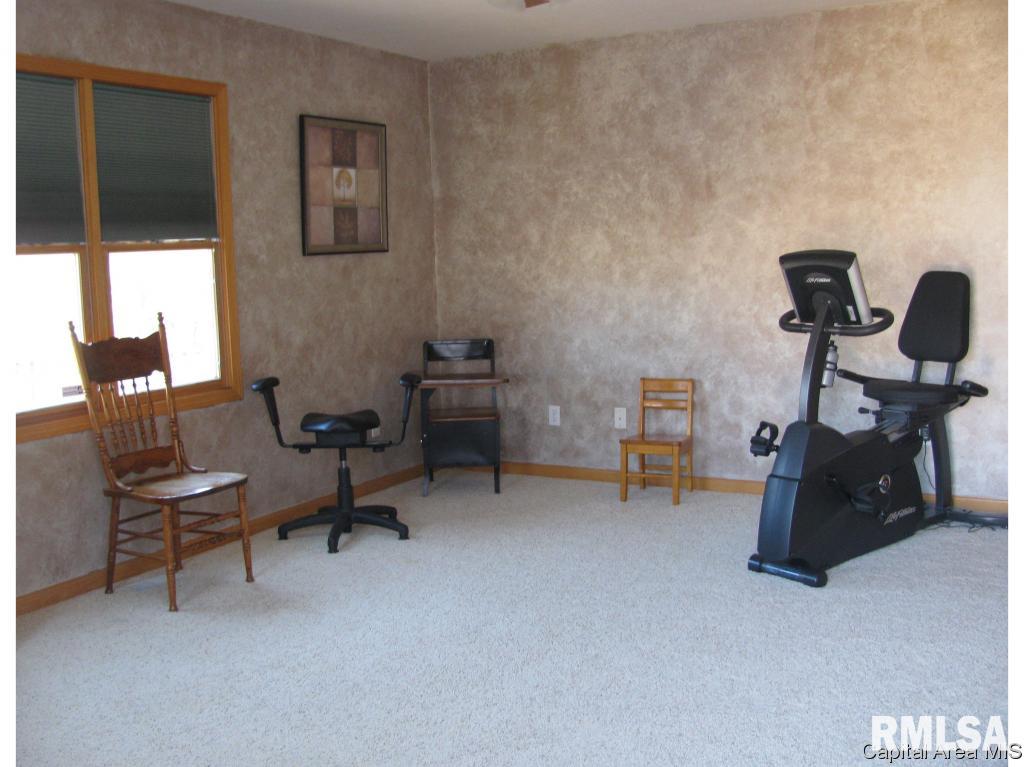 16 Spring Street Riverton, IL 62561 - Photo 18 of 28 Gallery Image 18