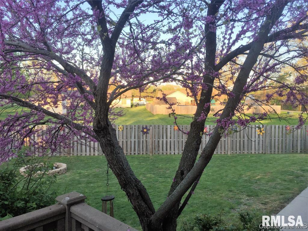 16 Spring Street Riverton, IL 62561 - Photo 28 of 28 Gallery Image 28