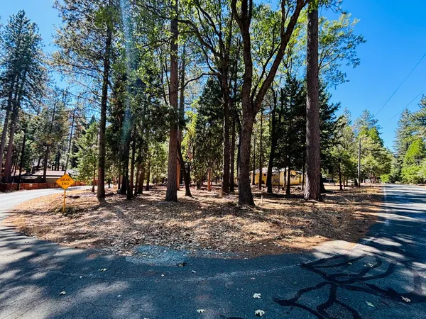 $33,000 | 23920 Carson Drive, Pioneer, CA 95666