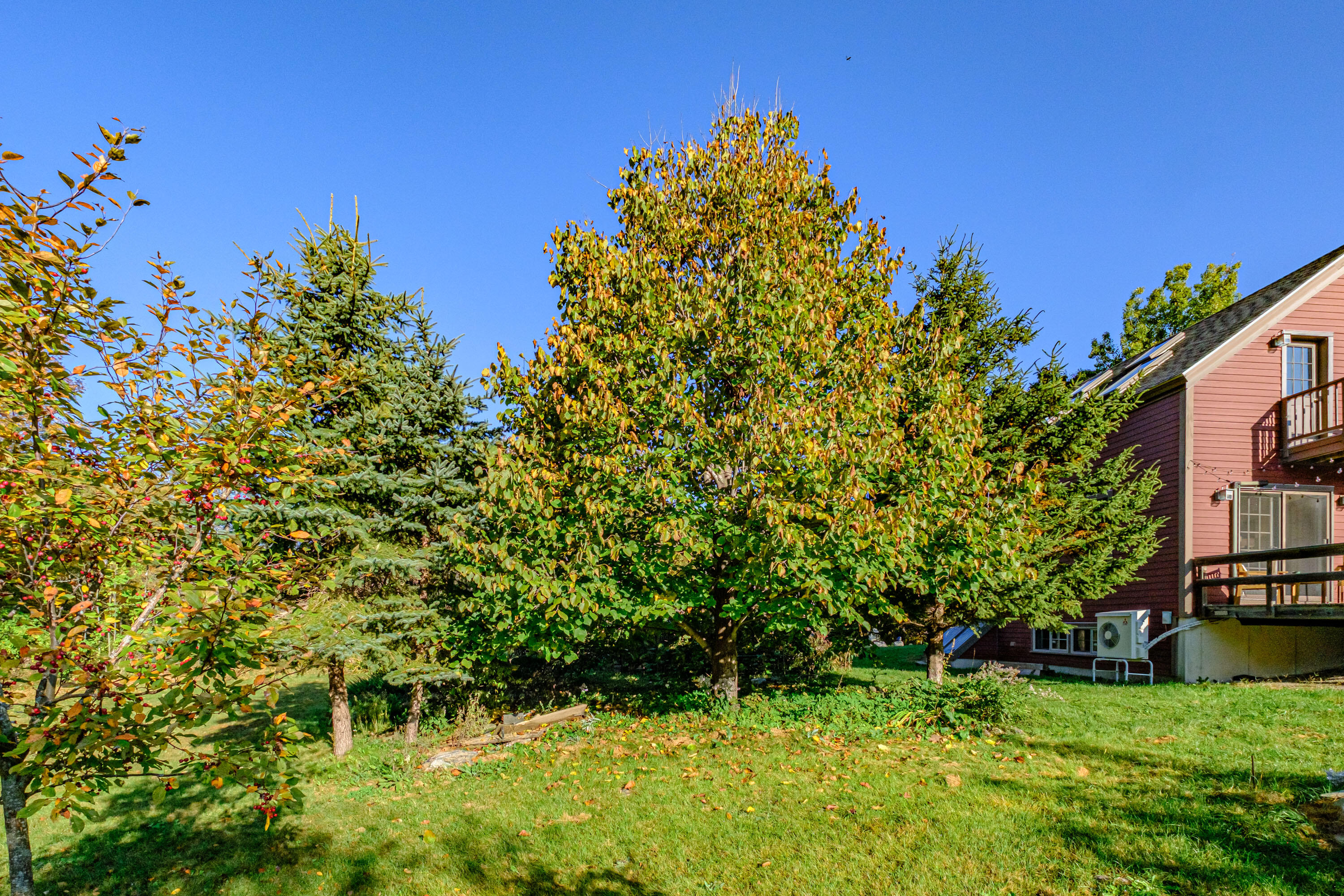 170 Thayer Road Whitefield, ME 04353 - Photo 76 of 94 20211014gp-60088