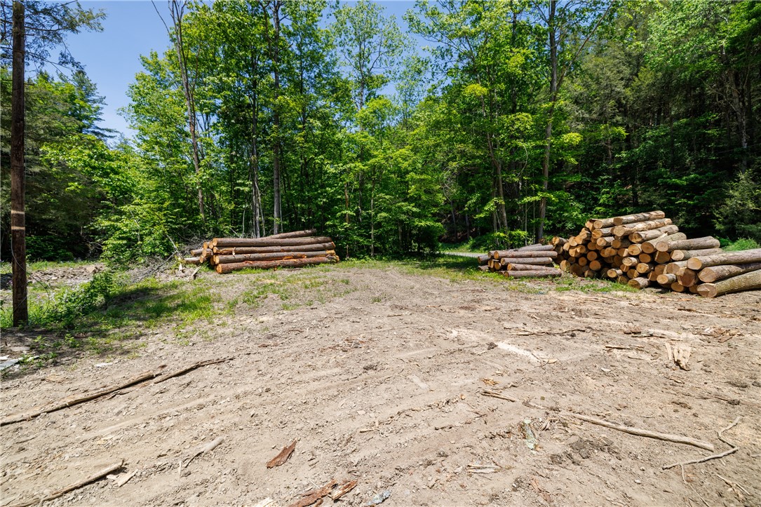 8867 Glenbrook Road Hammondsport, NY 14840 - Photo 9 of 17