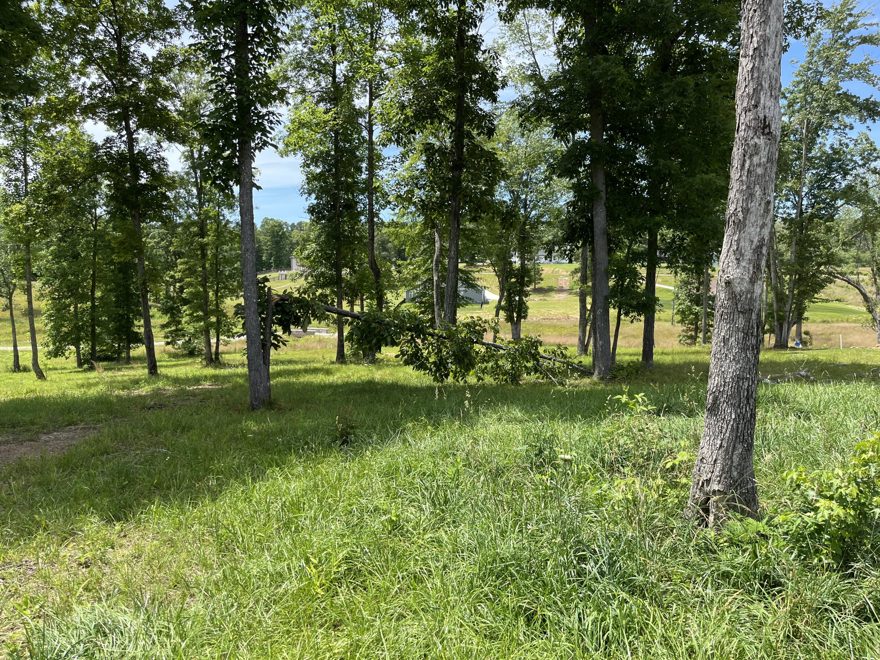 41 Twin Ponds Road Corbin, KY 40701 - Photo 20 of 25 IMG_1072