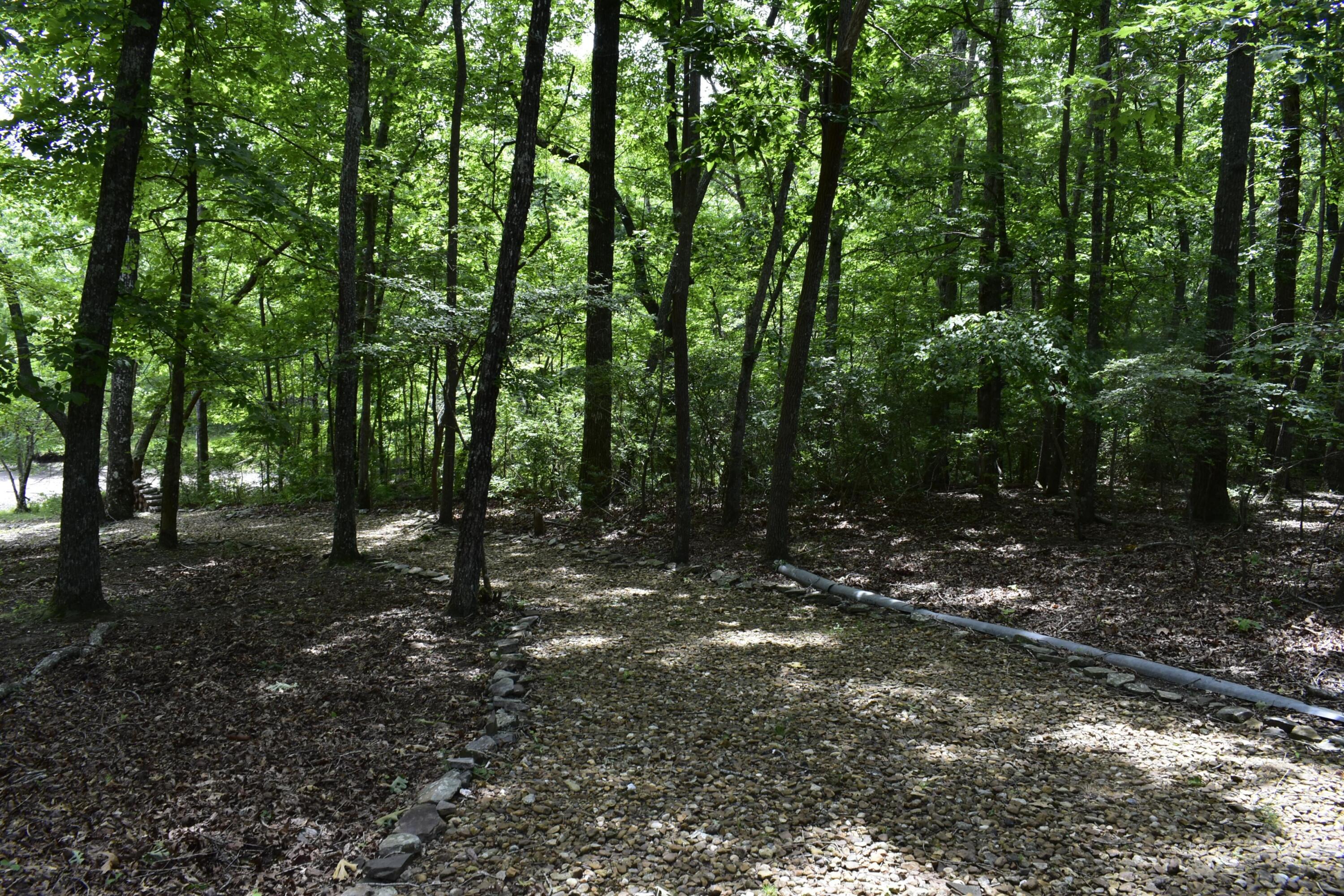 777 Lake Loop Menlo, GA 30731 - Photo 53 of 85 _DSC0876