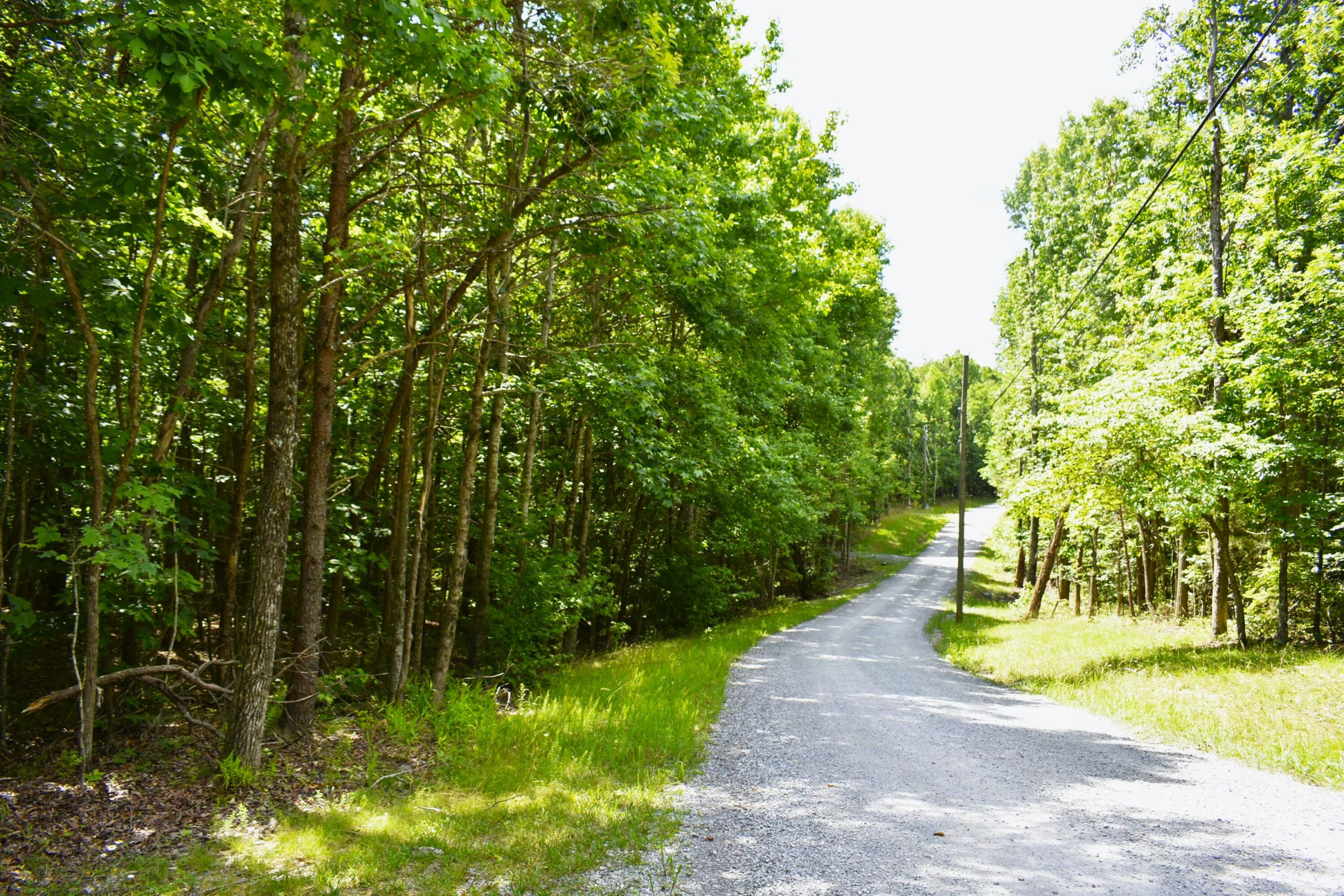 777 Lake Loop Menlo, GA 30731 - Photo 57 of 85 _DSC0742