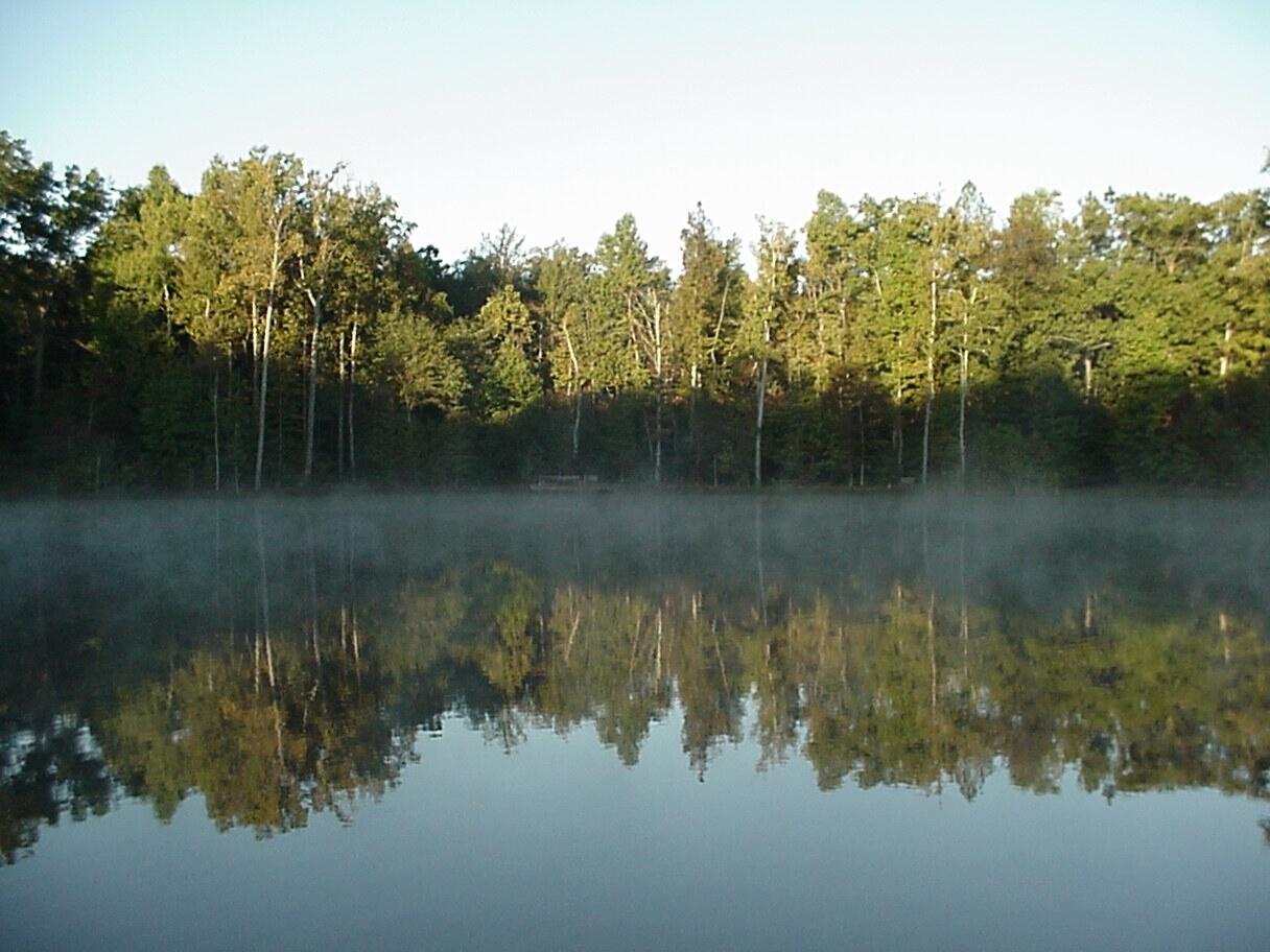 777 Lake Loop Menlo, GA 30731 - Photo 69 of 85 Morning Mist 4