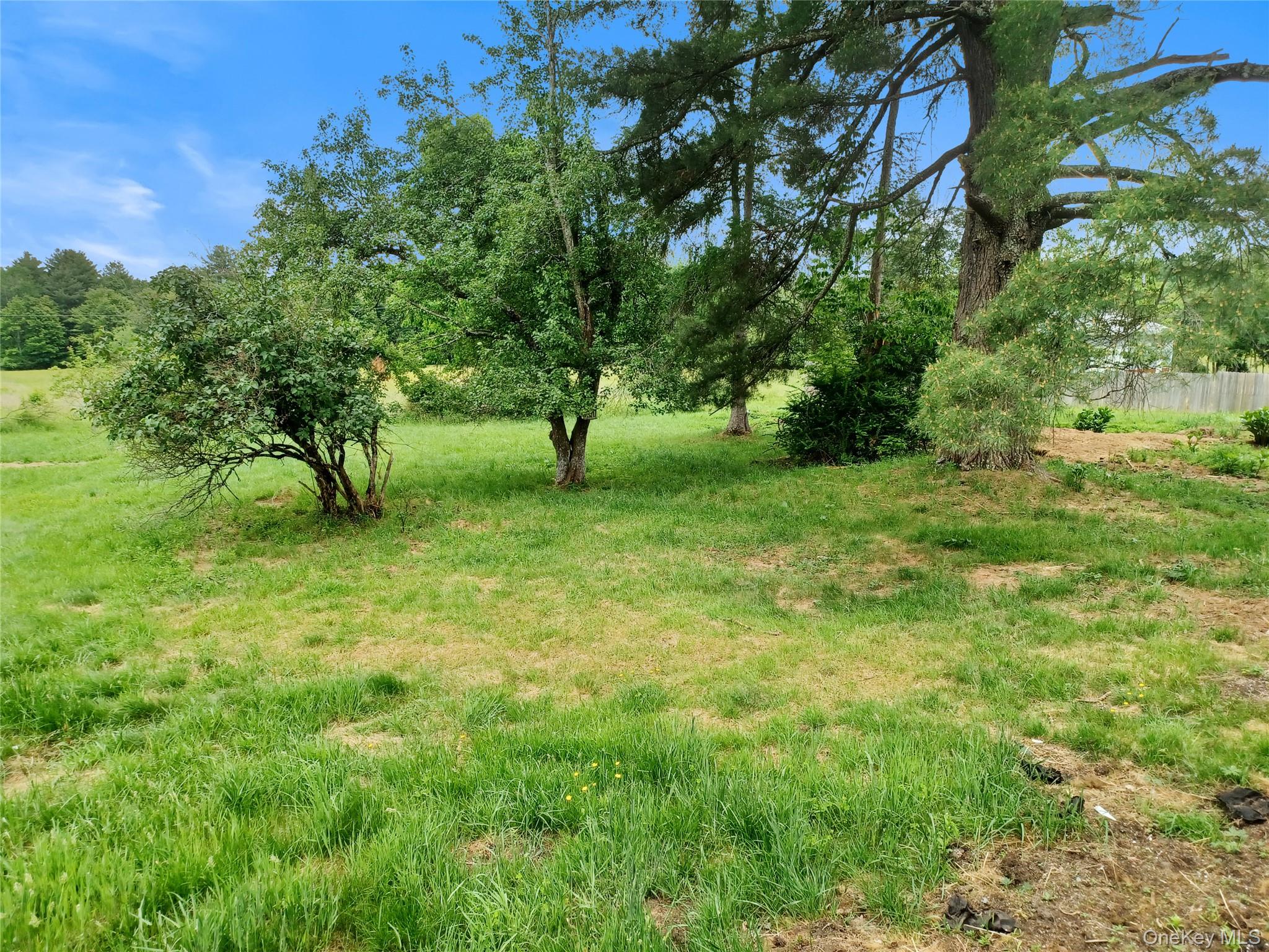 237 Shortcut Road Cochecton, NY 12726 - Photo 6 of 19