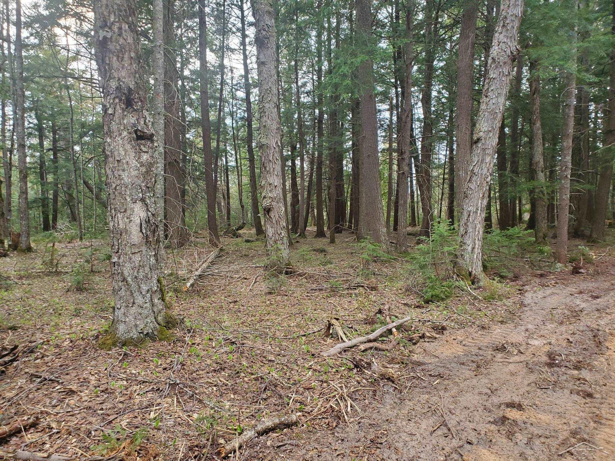 Old Plank Road Wetmore, MI 49895 - Photo 7 of 13