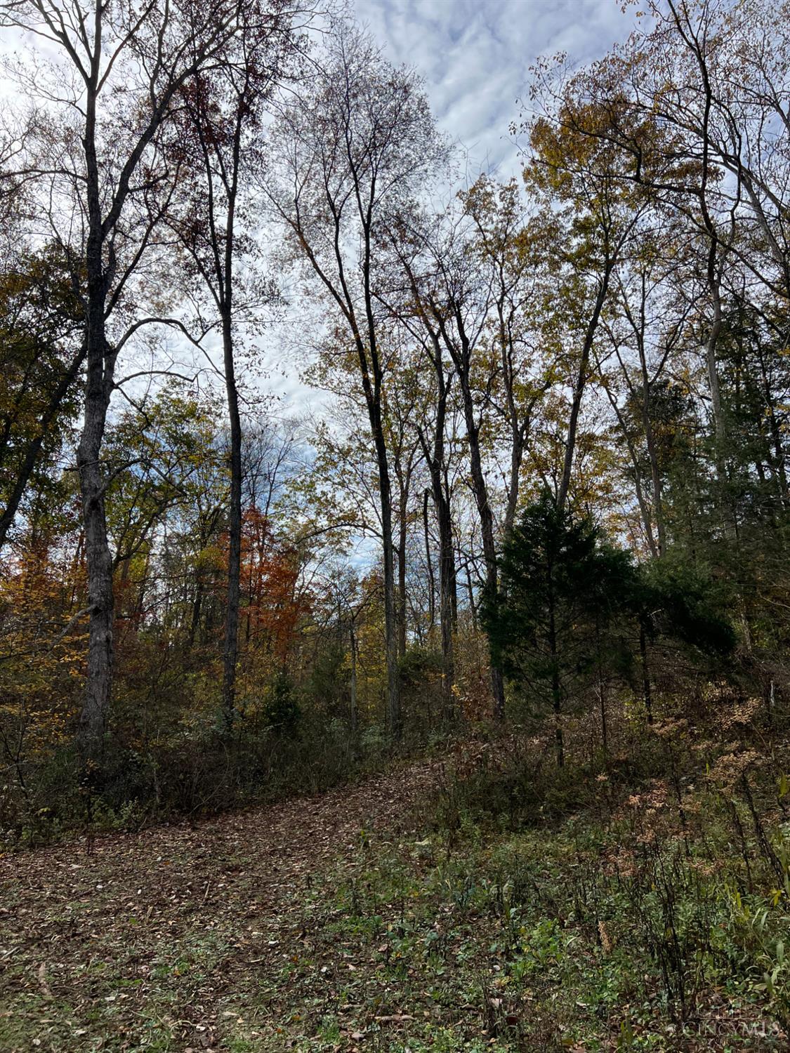 0 Harriet Road Hillsboro, OH 45133 - Photo 68 of 96