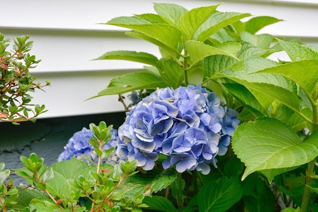 651 Ashby State Road Fitchburg, MA 01420 - Photo 18 of 18 Gallery Image 18