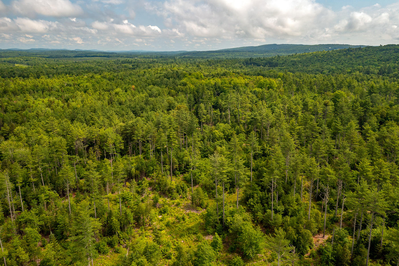 0 Happy Hollow Road Union, ME 04862 - Photo 6 of 12 DJI_0572
