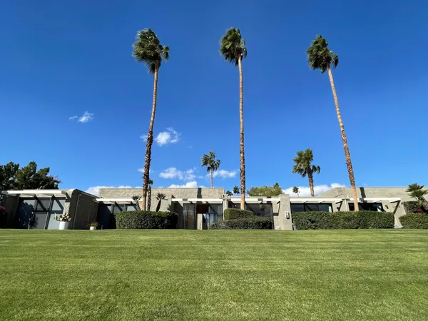 a view of a potted plant in front of a house