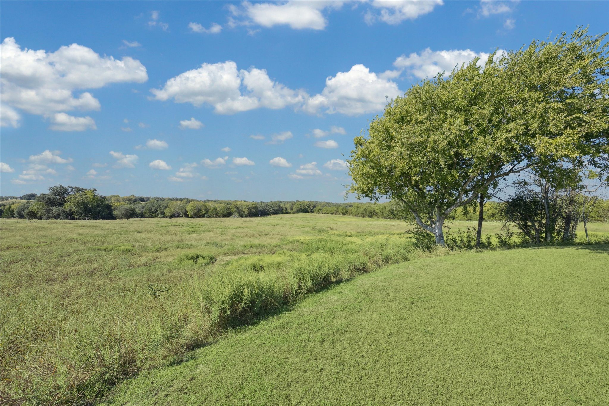 5100 Jaeger Road Burton, TX 77835 - Photo 28 of 34 View of local wilderness featuring rural landscape