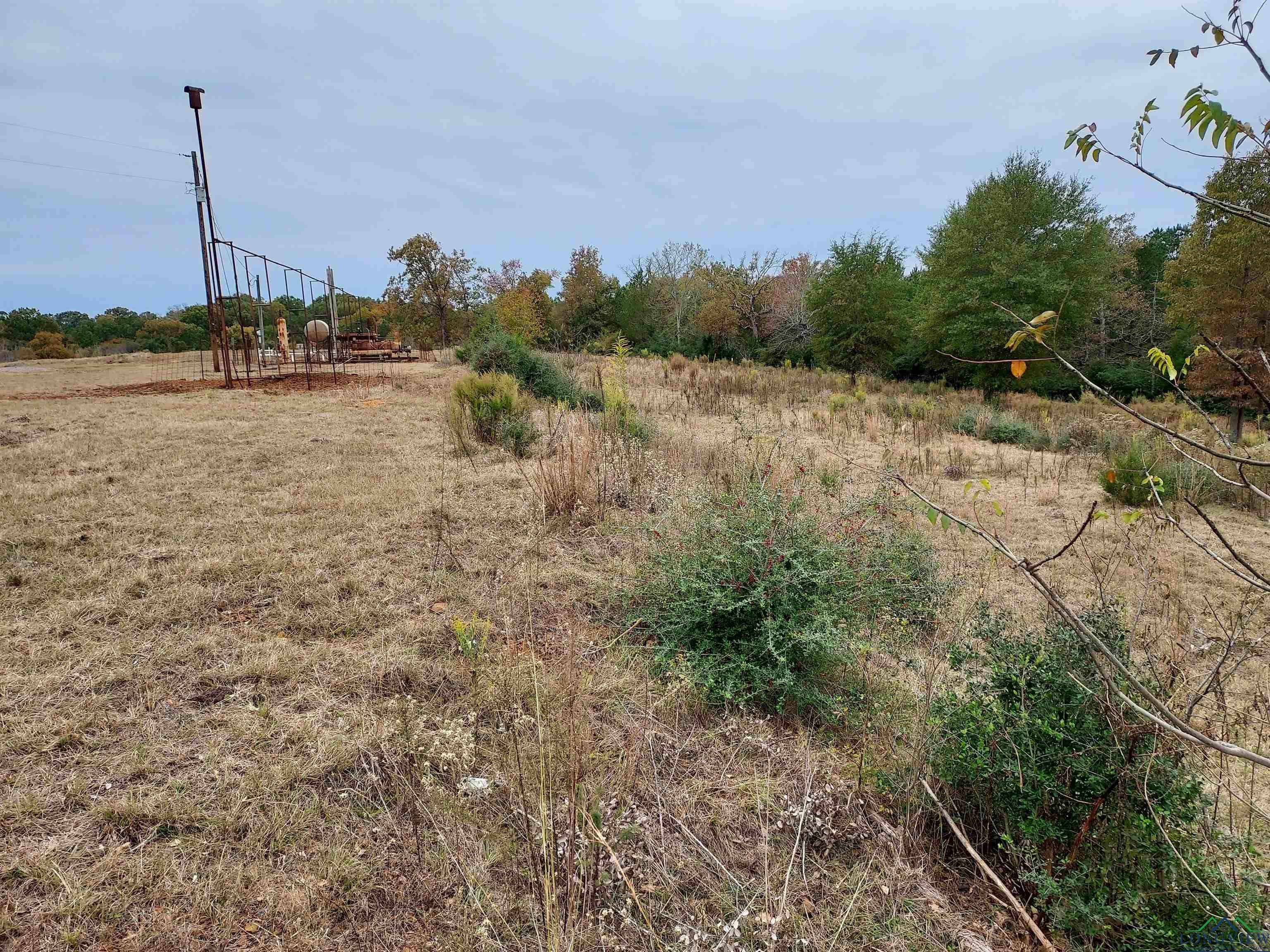 Tbd Almond Road Big Sandy, TX 75755 - Photo 32 of 36 Gallery Image 32