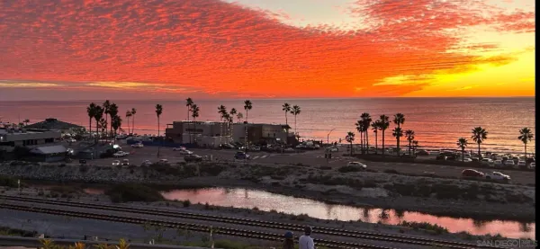 a view of a lot of trees and sky view