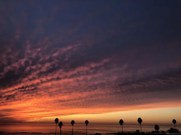 a view of a chairs and table in the patio
