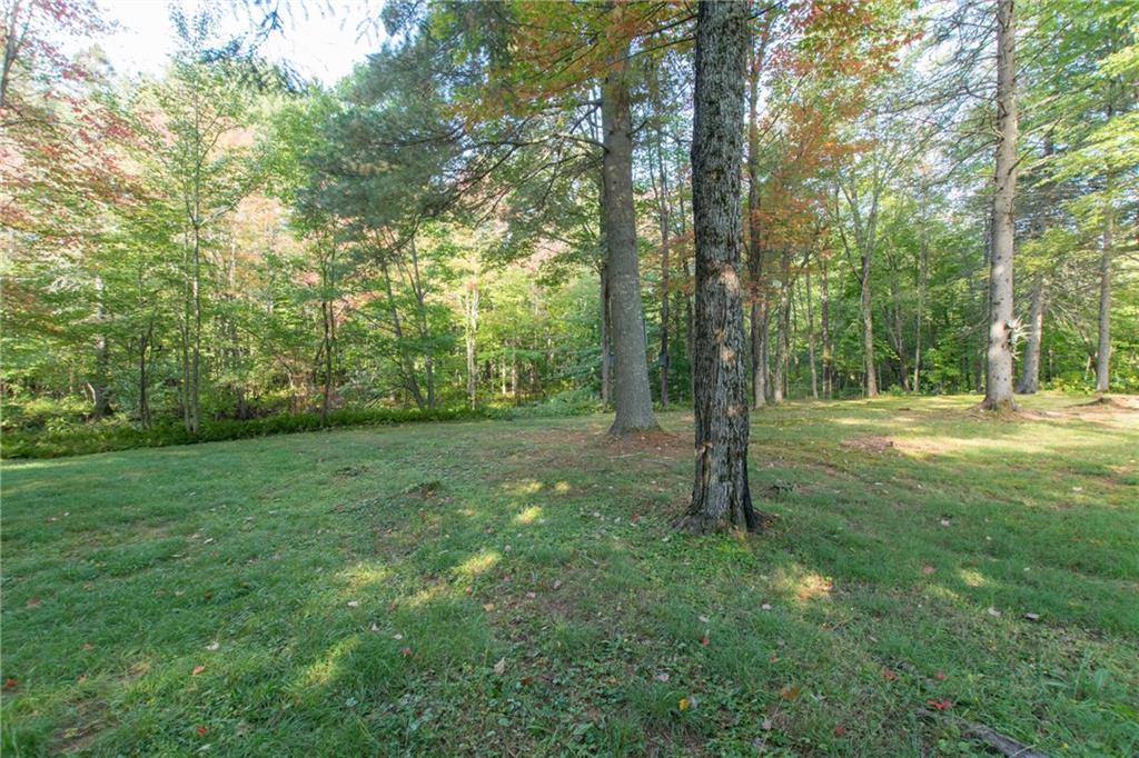 818 Grindstone Road Medway, ME 04460 - Photo 10 of 24 Large beautiful pine trees in...
