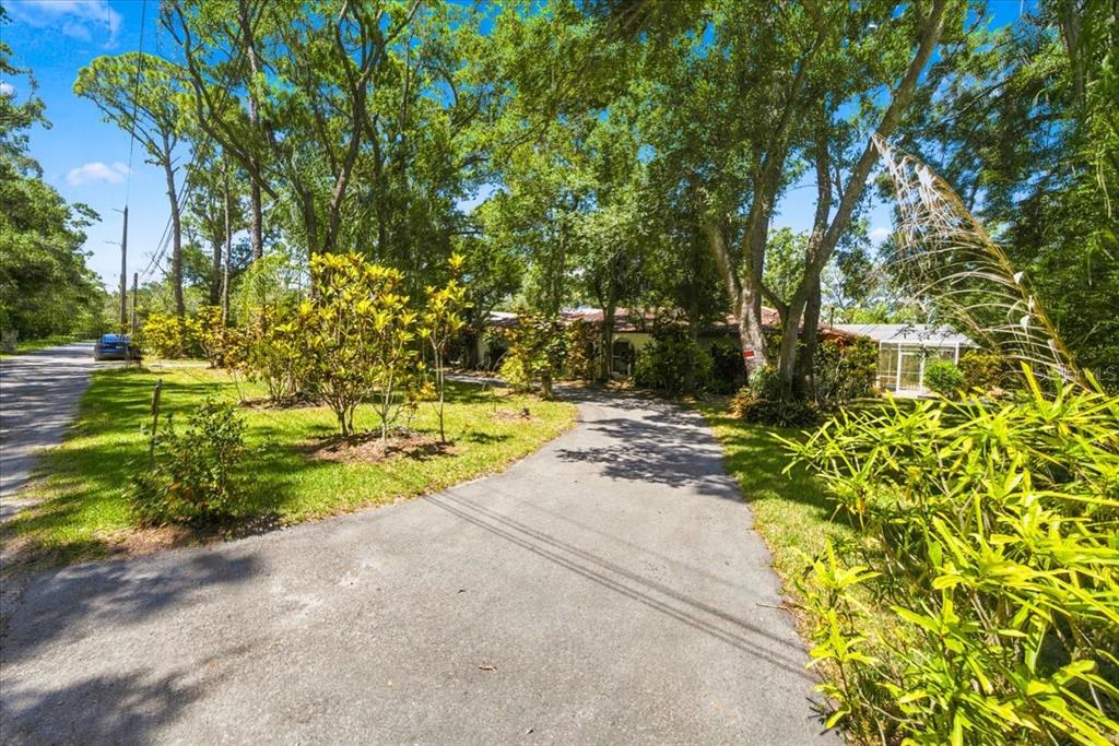 1680 Fox Road Clearwater, FL 33764 - Photo 24 of 72