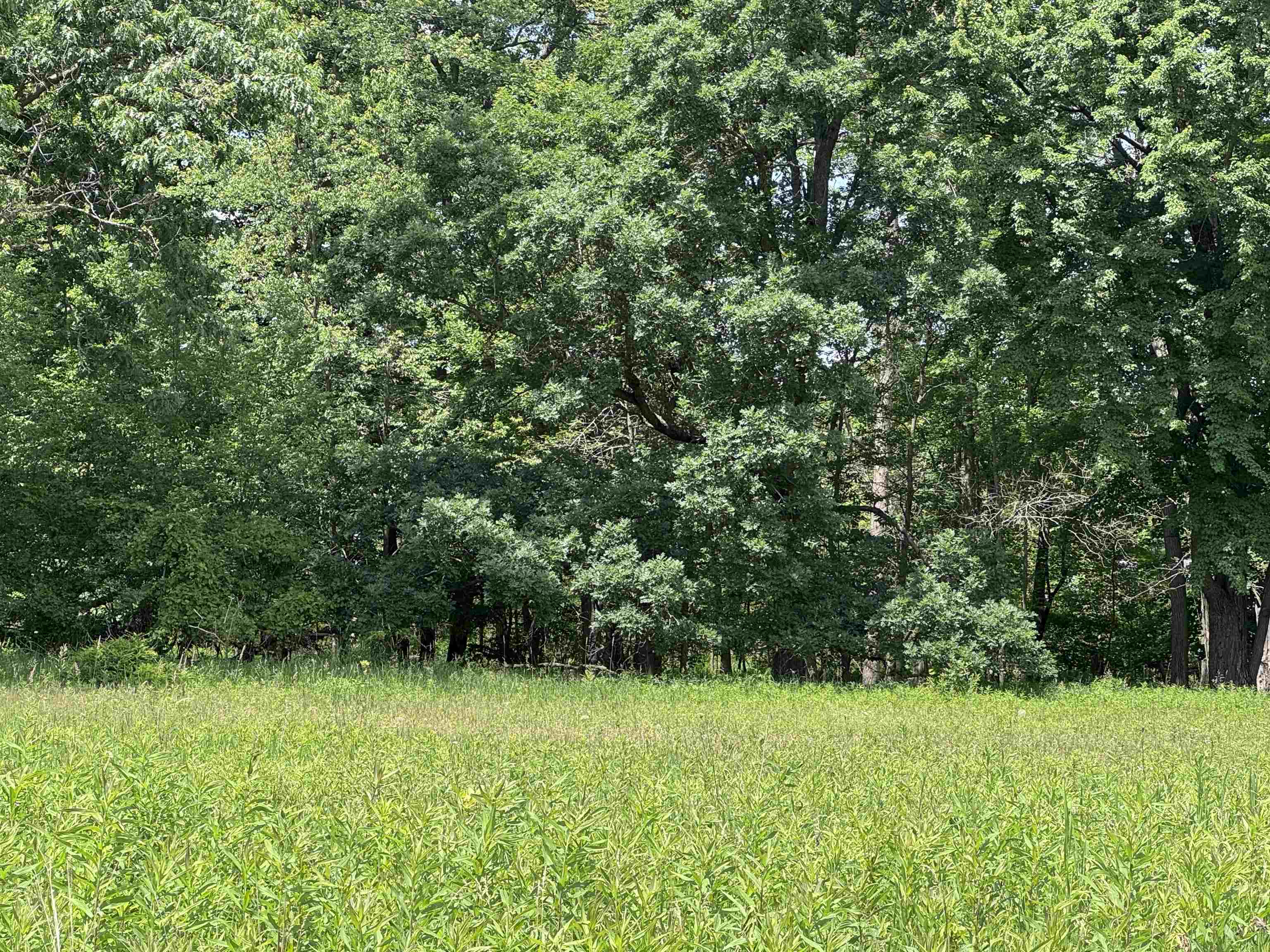 301 Channel Trace Shawano, WI 54166 - Photo 9 of 14