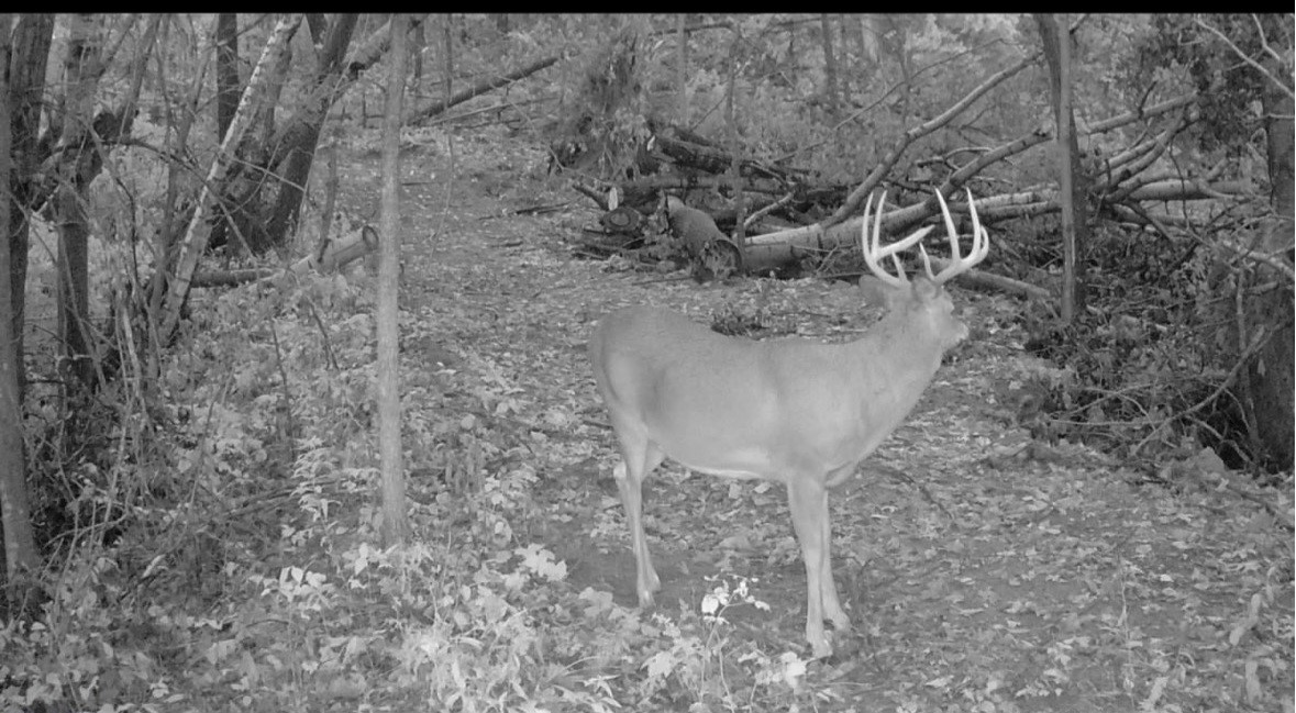 0 County Kk Alma, WI 54610 - Photo 57 of 58