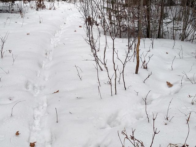 Off Of Rueckert Road, Unit PE 329 Rhinelander, WI 54501 - Photo 6 of 7 Gallery Image 6