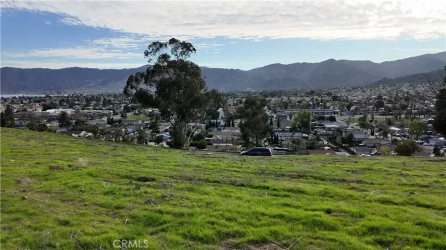 a view of a lush green field with mountains in the background