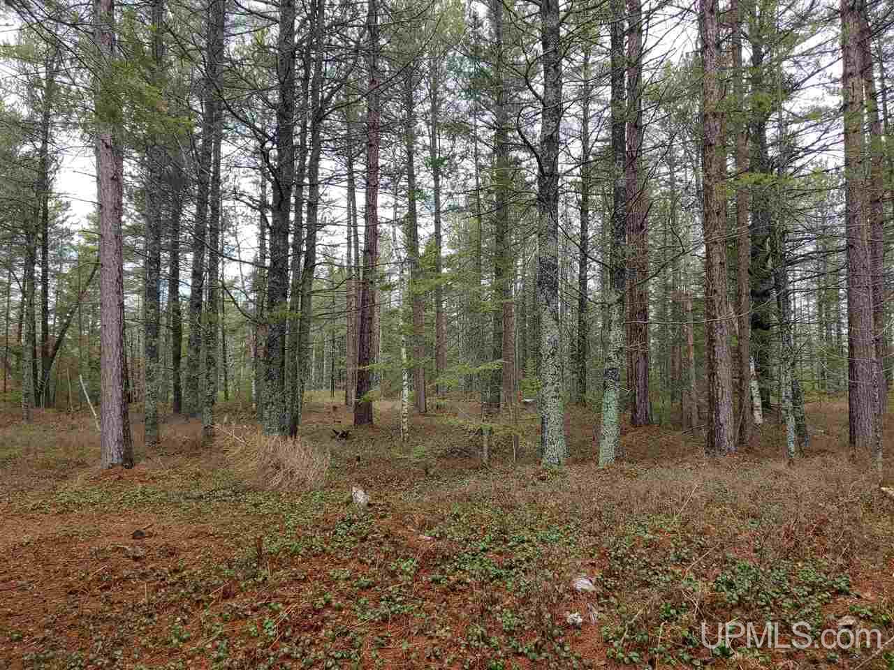 Lot 12 Rice Landing Rd Lake Lake Linden, MI 49945 - Photo 23 of 43