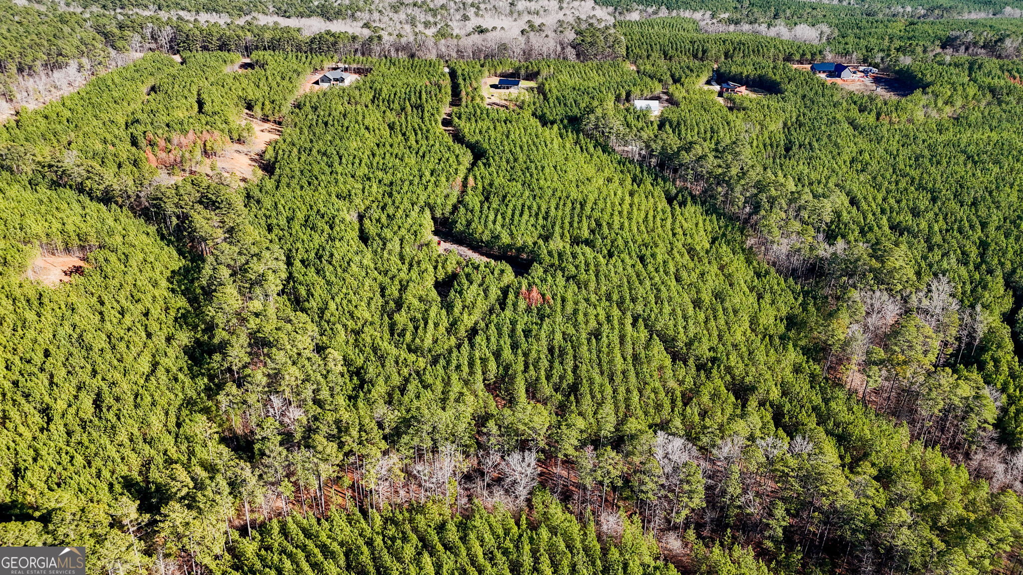 a view of a garden with a building