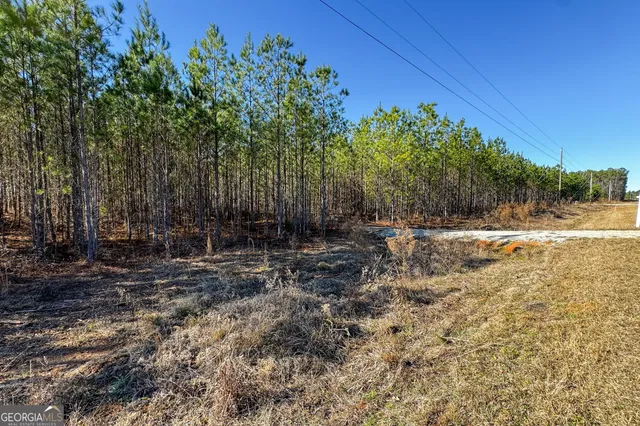 a view of a backyard of a house