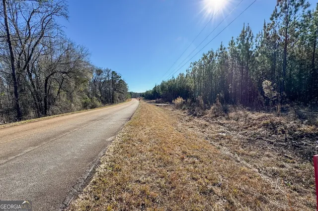 a view of yard with trees