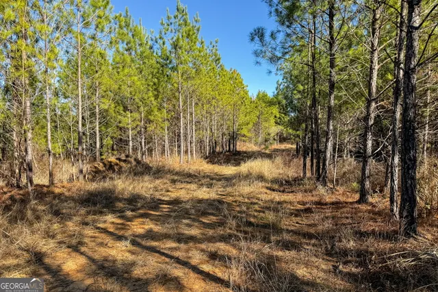 a view of outdoor space with trees