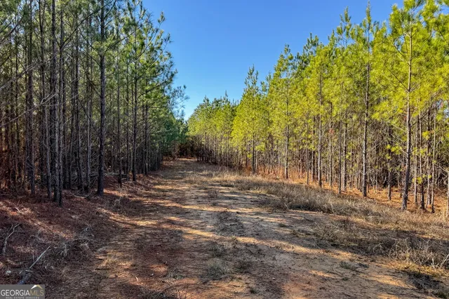 a view of a lake with a tree