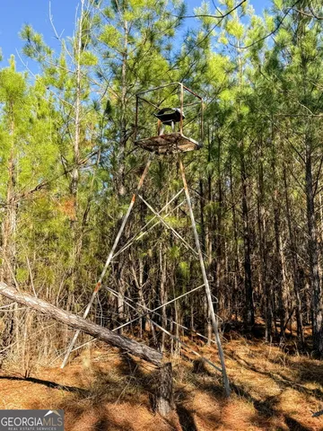 a view of a backyard of the house