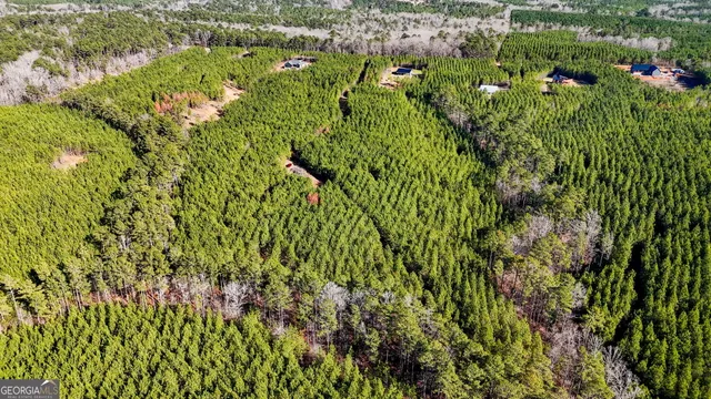 a view of a lush green field with plants