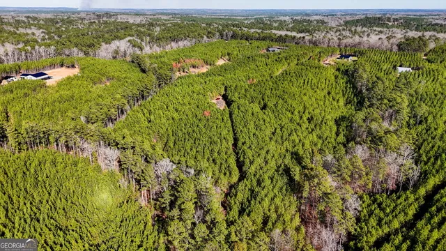 a view of a city with lush green forest