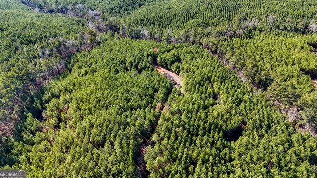 an aerial view of a house with a yard and large trees