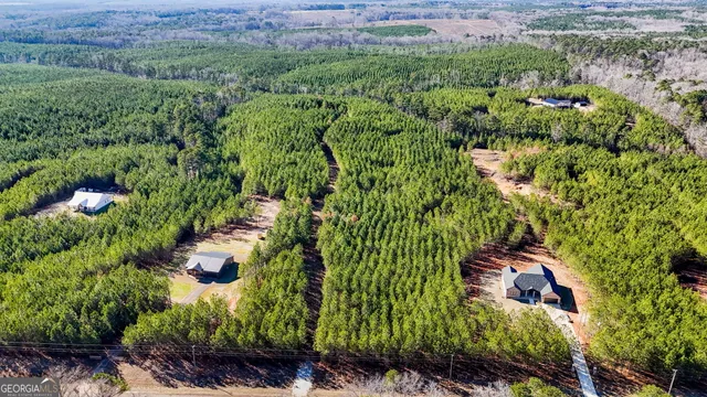a view of a garden with plants