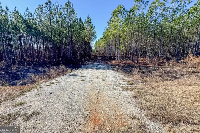 a view of dirt yard with a trees