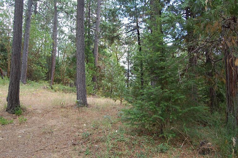 409 Hitching Post Road Grants Pass, OR 97526 - Photo 8 of 10 Additional Photo