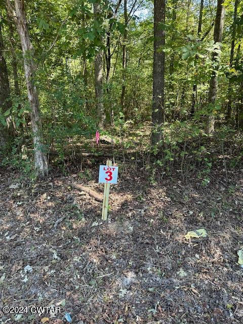 3 Sales Landing Road Camden, TN 38320 - Photo 1 of 33 133203_0