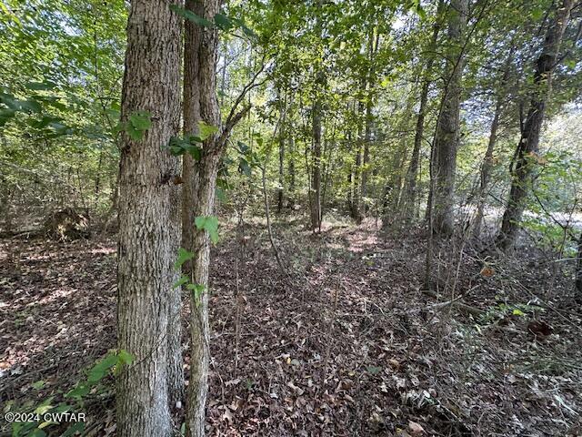 3 Sales Landing Road Camden, TN 38320 - Photo 12 of 33 IMG_3502