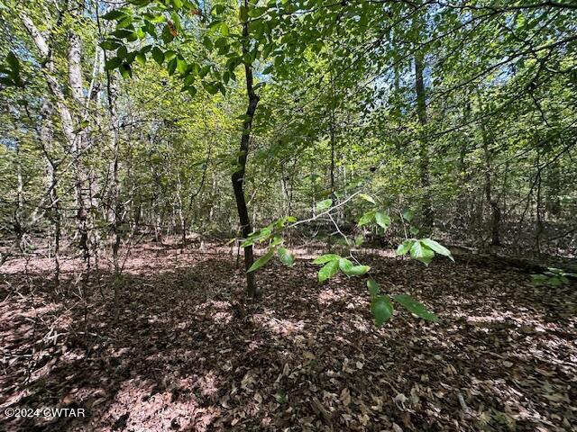 3 Sales Landing Road Camden, TN 38320 - Photo 15 of 33 IMG_3505