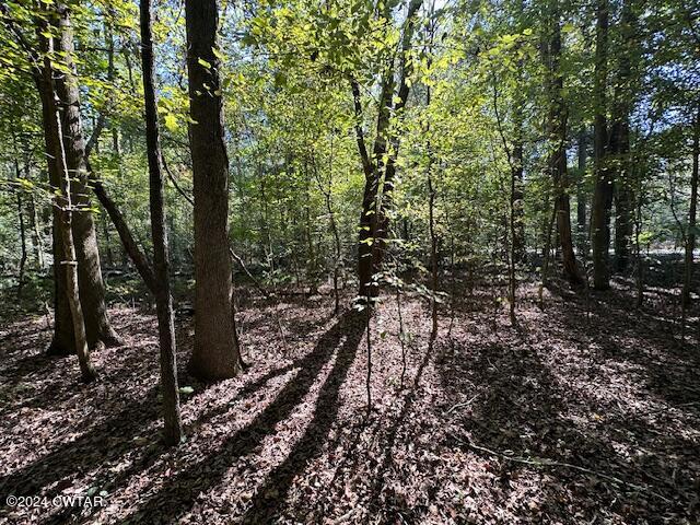 3 Sales Landing Road Camden, TN 38320 - Photo 20 of 33 IMG_3510