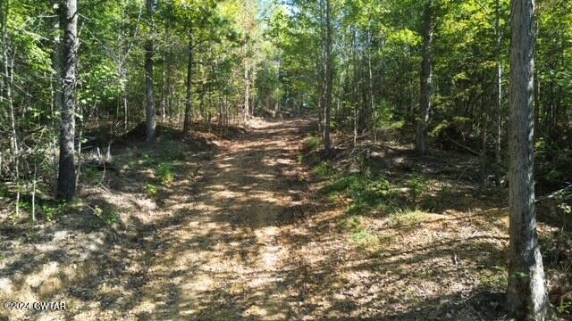 3 Sales Landing Road Camden, TN 38320 - Photo 2 of 33 DJI_0175