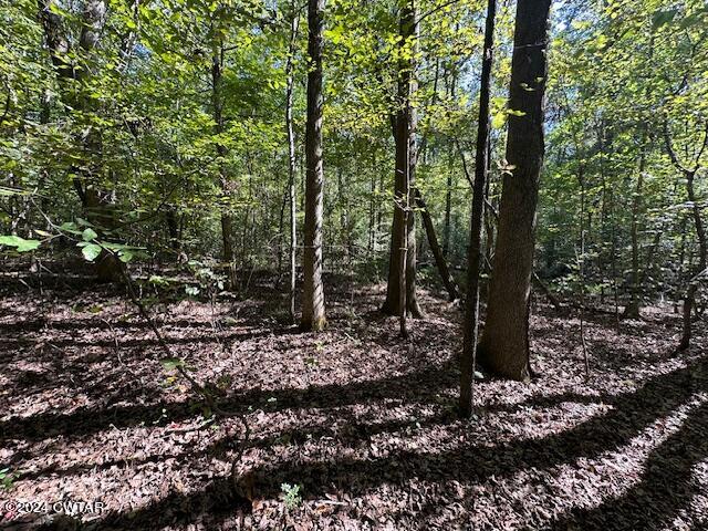 3 Sales Landing Road Camden, TN 38320 - Photo 21 of 33 IMG_3511