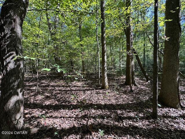 3 Sales Landing Road Camden, TN 38320 - Photo 22 of 33 IMG_3512